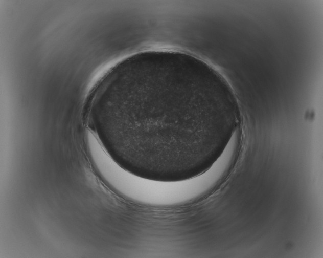 X0000112721319200909171055