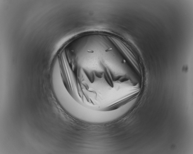 X0000112721320200909171055