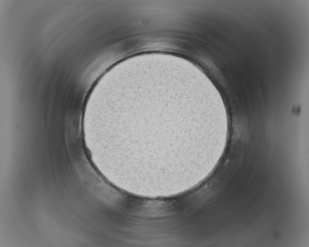 X0000112721322200909171055