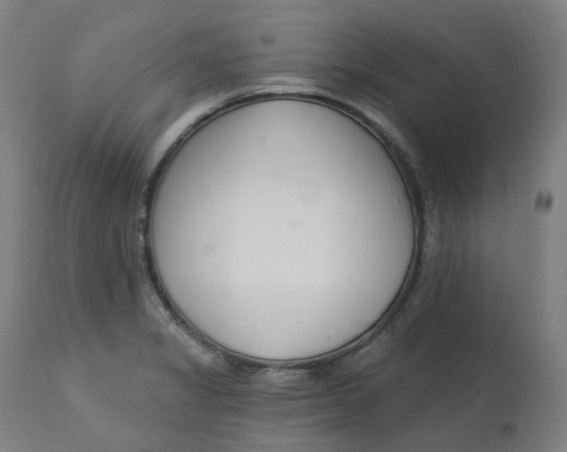 X0000112721325200909171055