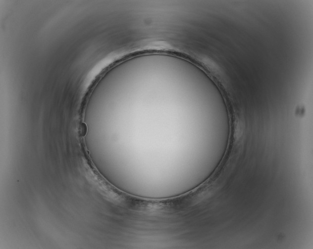 X0000112721326200909171055