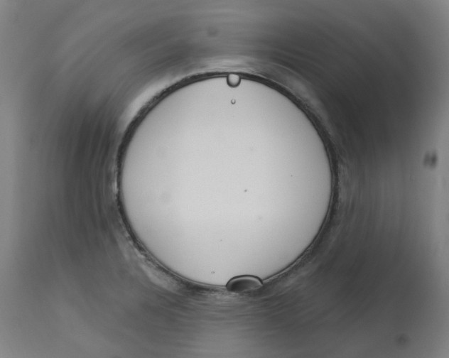 X0000112721328200909171055