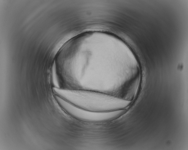 X0000112721329200909171055