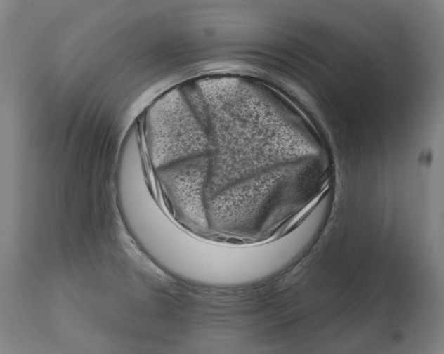 X0000112721330200909171055