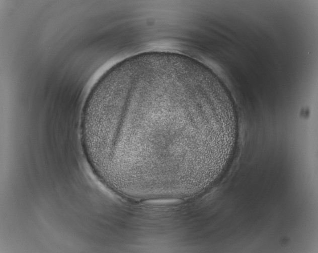 X0000112721331200909171056