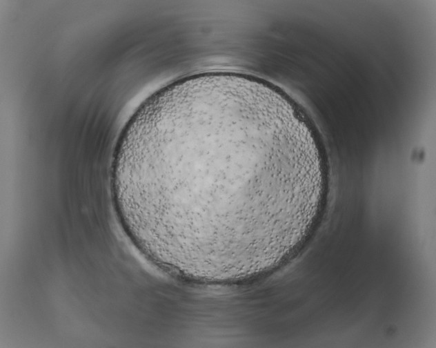 X0000112721333200909171056