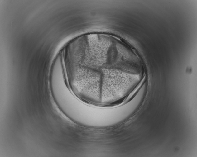 X0000112721334200909171056