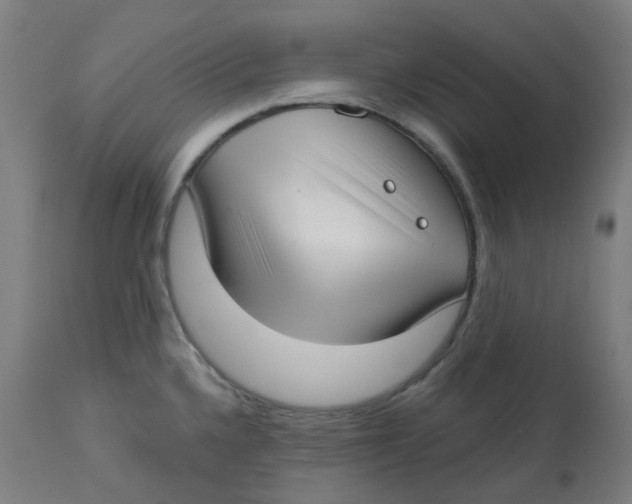 X0000112721336200909171056