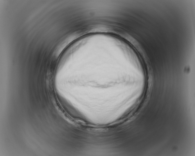 X0000112721337200909171056