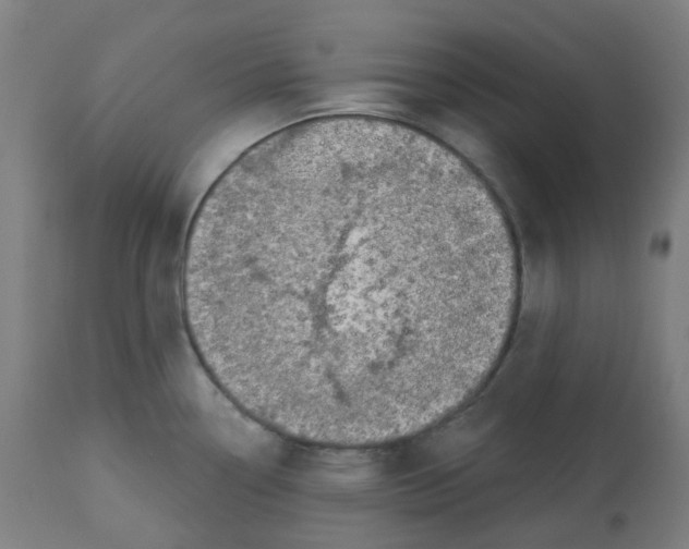 X0000112721338200909171056