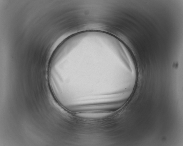 X0000112721339200909171056