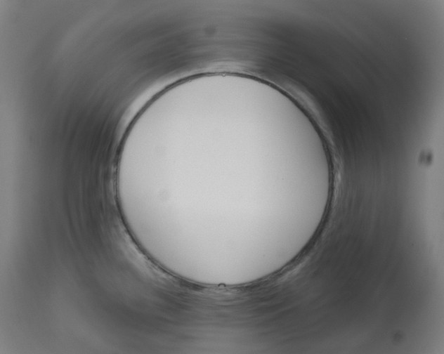 X0000112721340200909171056