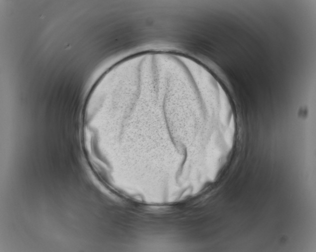 X0000112721343200909171056