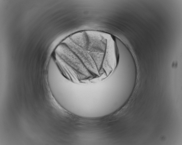 X0000112721344200909171056