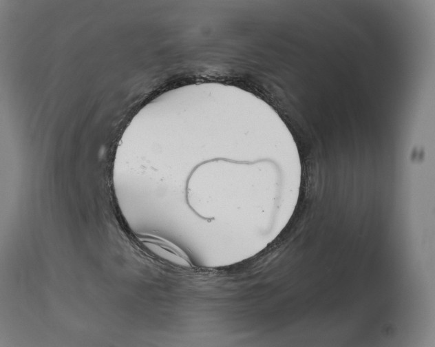 X0000112721345200909171055