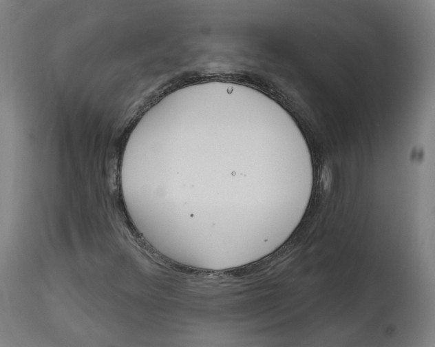 X0000112721348200909171055