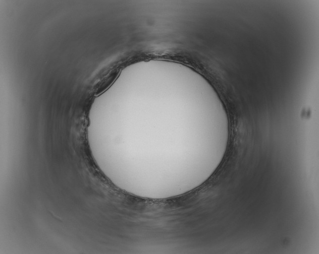 X0000112721349200909171055