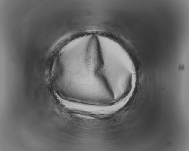 X0000112721351200909171055