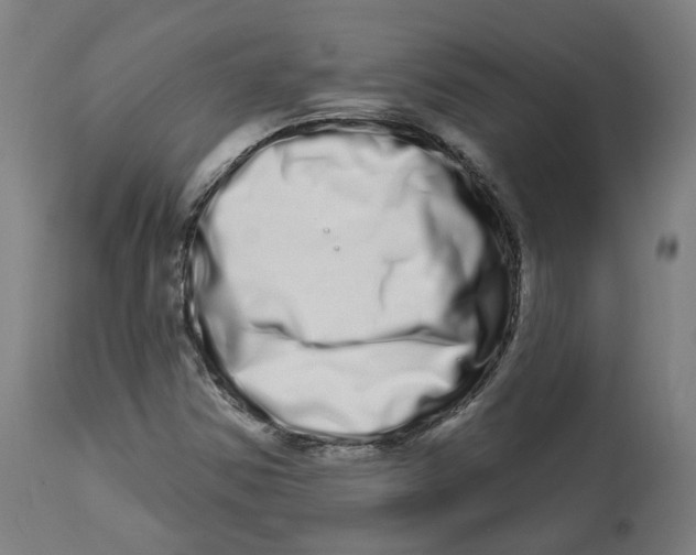 X0000112721354200909171055