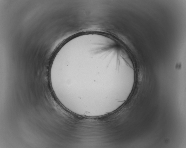 X0000112721356200909171055