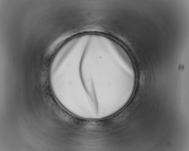 X0000112721359200909171055