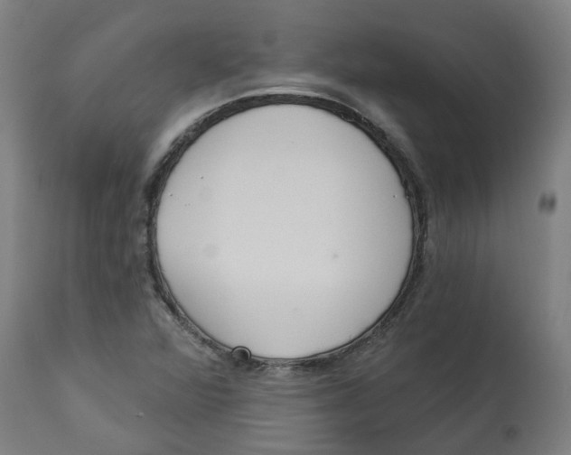 X0000112721360200909171055