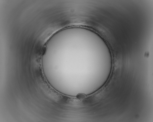 X0000112721361200909171055