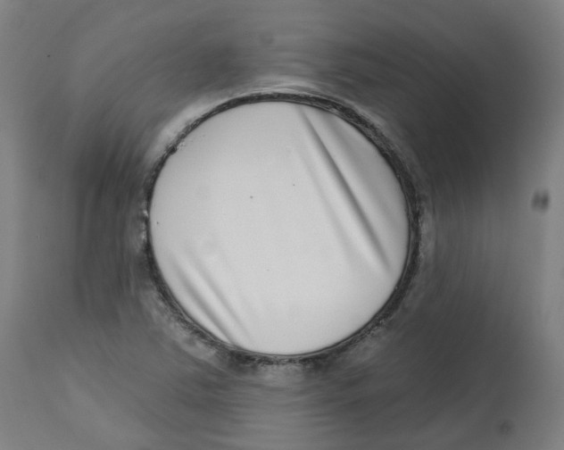 X0000112721363200909171055