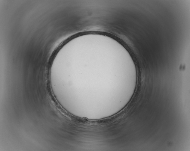 X0000112721364200909171055