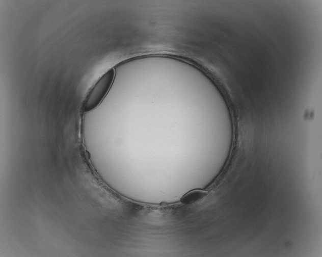 X0000112721365200909171055