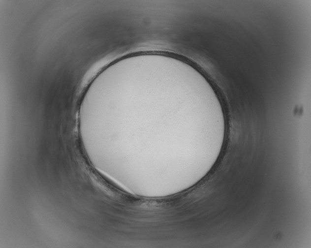 X0000112721366200909171055