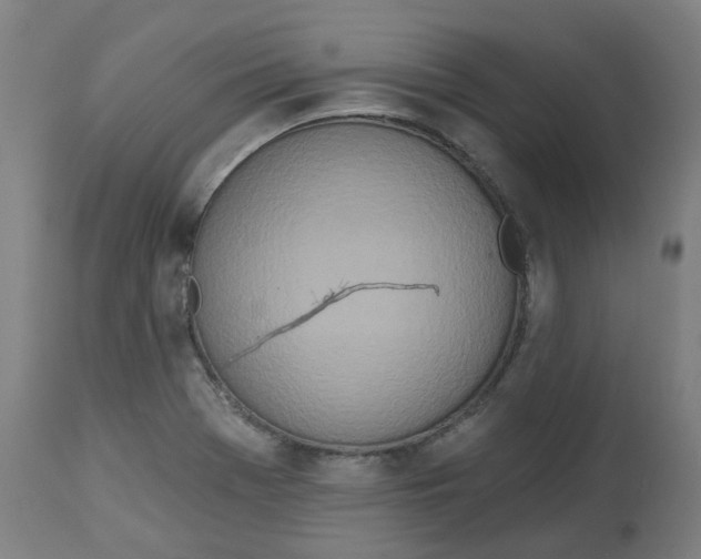 X0000112721369200909171055