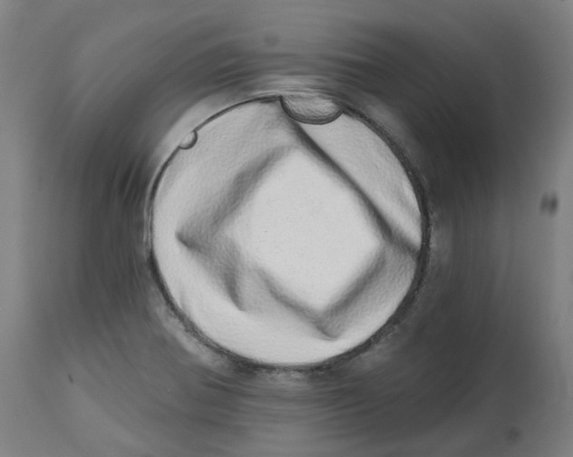 X0000112721370200909171055