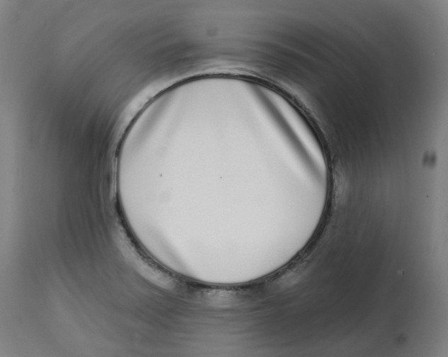 X0000112721371200909171055