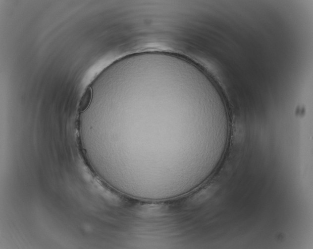 X0000112721373200909171054