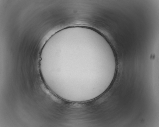 X0000112721374200909171054