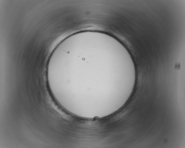 X0000112721375200909171054