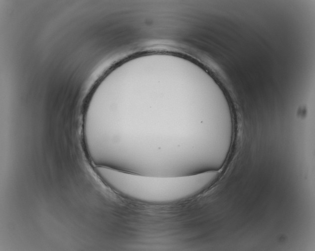 X0000112721376200909171054