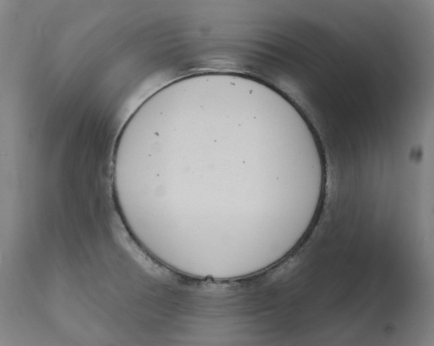 X0000112721378200909171054