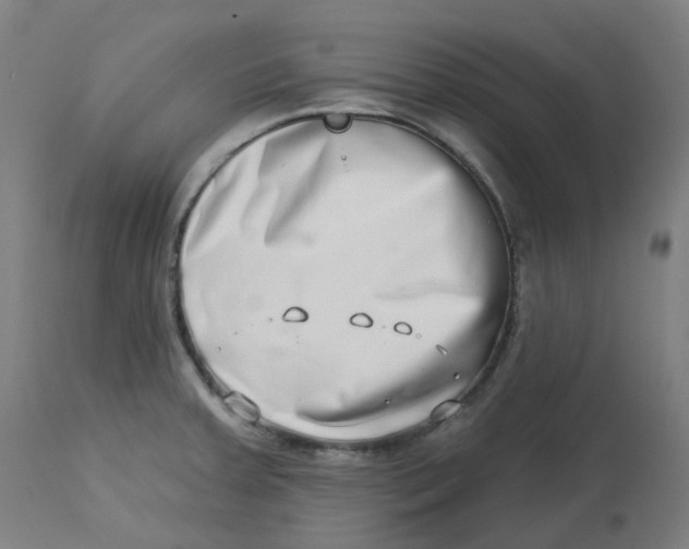 X0000112721379200909171054