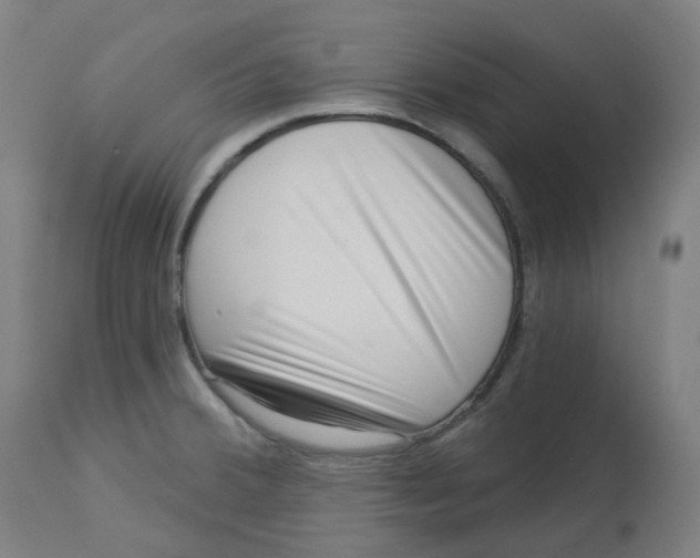 X0000112721380200909171054