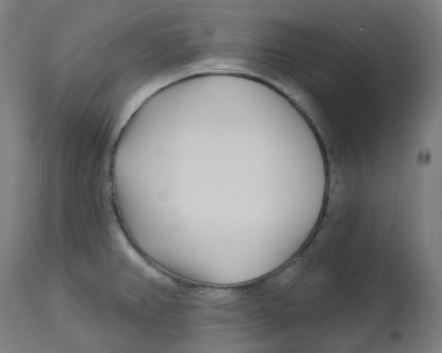 X0000112721382200909171054