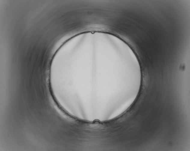 X0000112721383200909171054