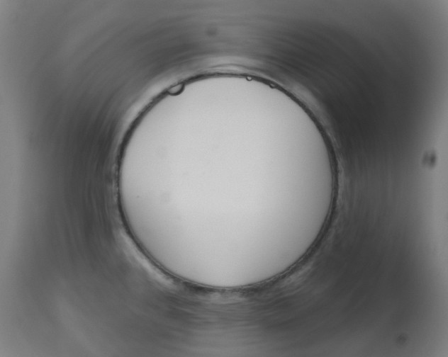 X0000112721384200909171054