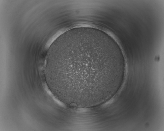 X0000112721385200909171054