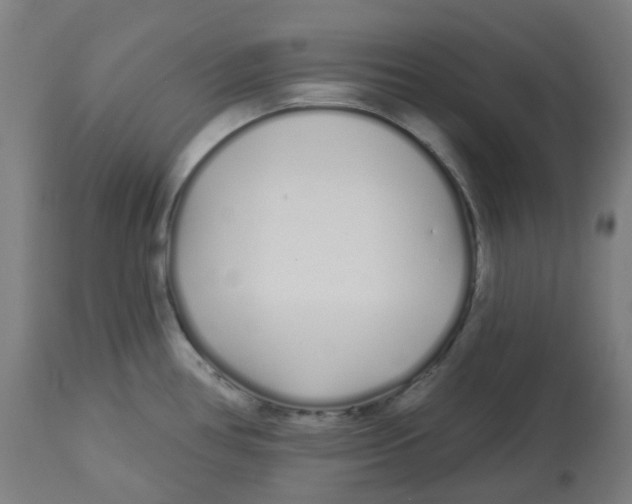 X0000112721386200909171054