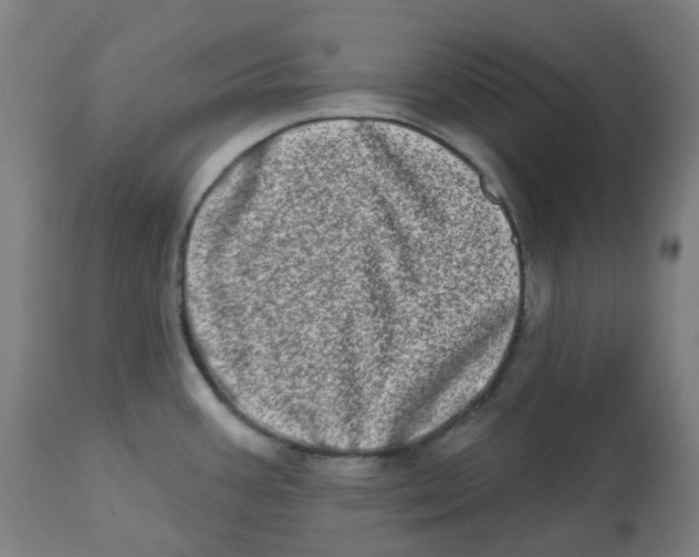 X0000112721387200909171054