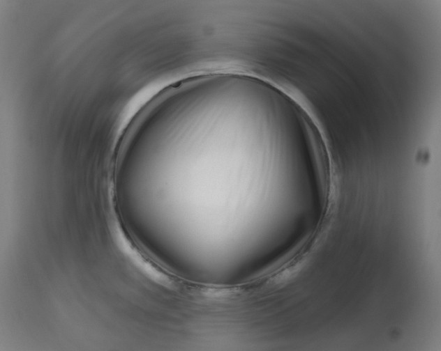 X0000112721389200909171054