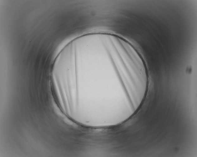 X0000112721390200909171054