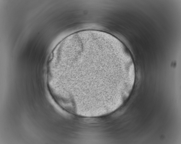 X0000112721391200909171054